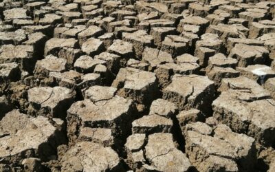 Le PNACC impacte-t-il la commande publique ?