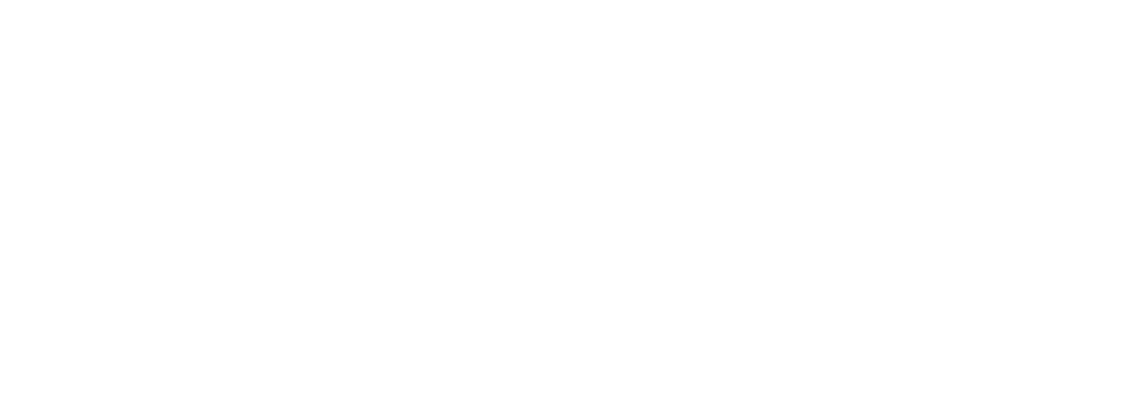 logo_axone-BLANC-1024x354